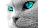 Nem mindenkinek, de tal�n Neked!
